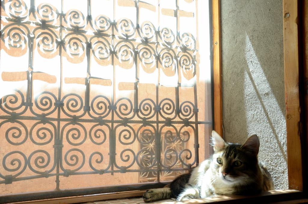 Maison D'Hotes Dar El Nath Warzazat Zewnętrze zdjęcie